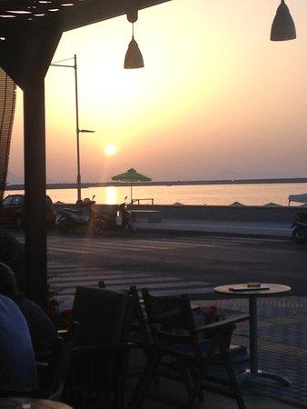Cactus Beach Bar
