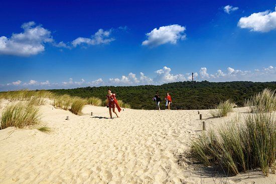 Plage de la Coubre