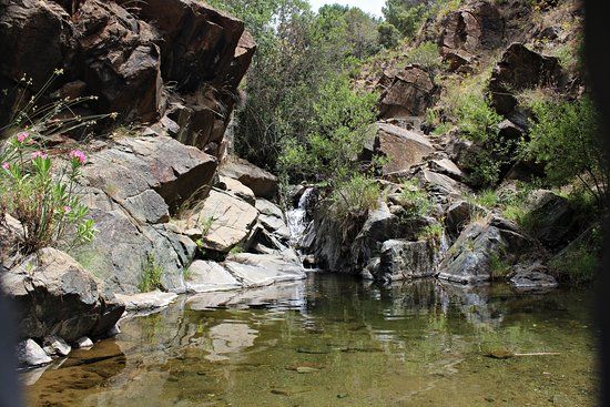 Charco de las Vinas
