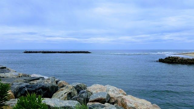 Parc de l'île de Grommet JT