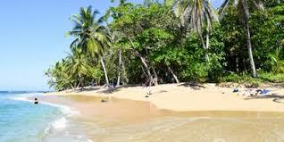 Playa Punta Uva