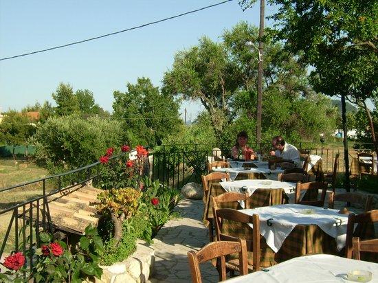 Vardiola Taverna
