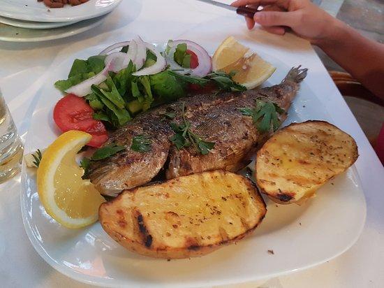 Acropolis Taverna