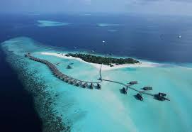 Makunufushi
