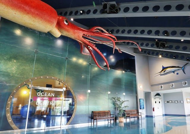 Institut d'exploration sous-marine des Bermudes