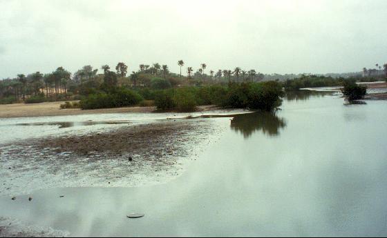 Kotu Stream