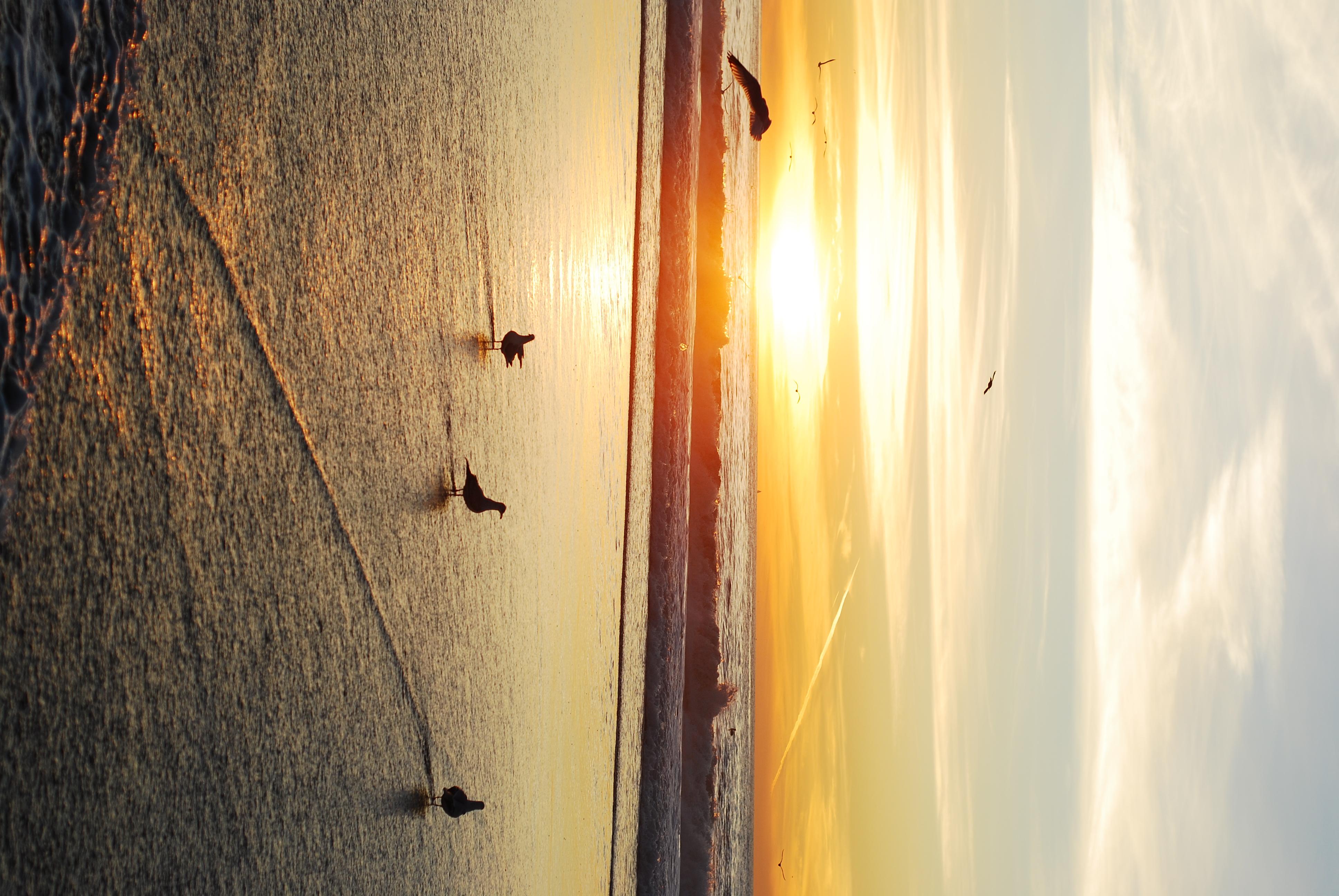 Torrance County Beach