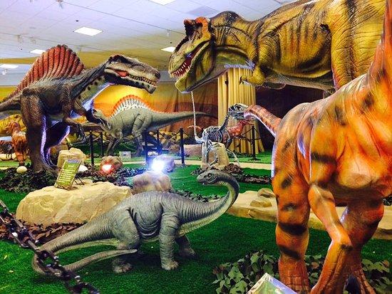 Wonder of Dinosaurs