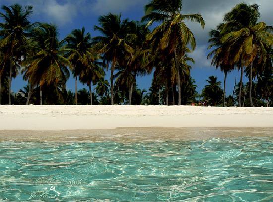 Dressel Divers Bayahibe