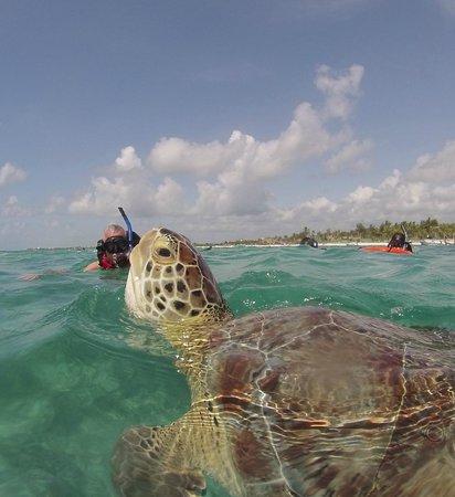AquaSafari Mexico