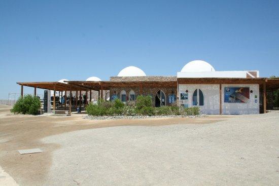 TGI Diving Marsa Alam