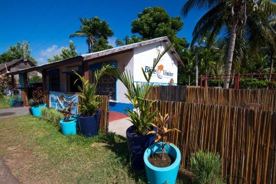 Blue Vision Dive Center