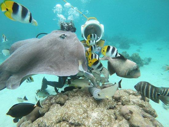 Aquablue Moorea Classical Diving