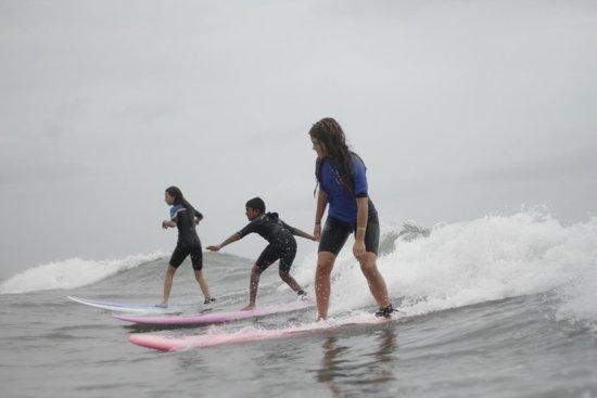 The Surf School