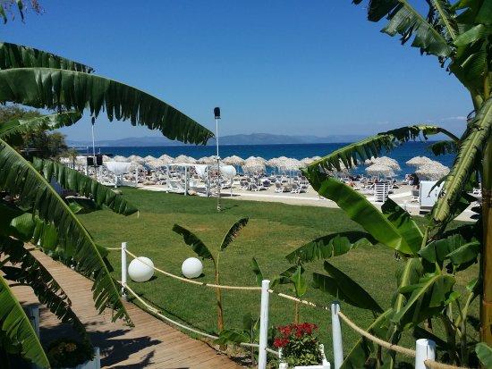 Ammos Beach-Cocktail Bar