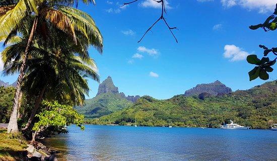 Moorea Fun Bike