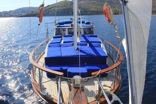 Unicorn Boat Trips
