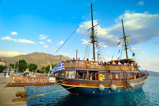 Albatros II