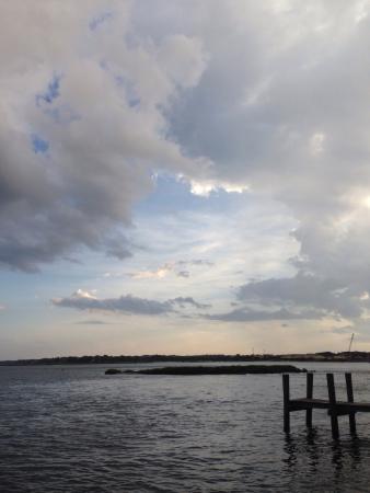 The Back Deck