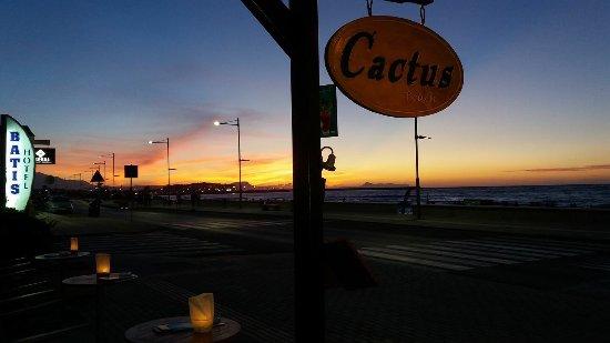 Cactus Beach Bar