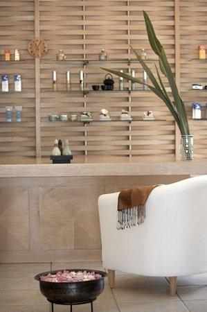 Asian Spa & Ayurvedic Retreat