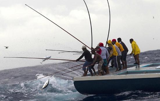 Bali Fishing Charter