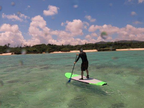 Joy Sup Surf