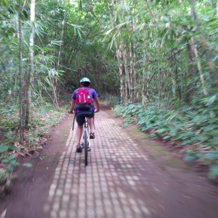 Ubud Bike Adventure