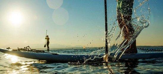 Beach Bum Surf & Supply
