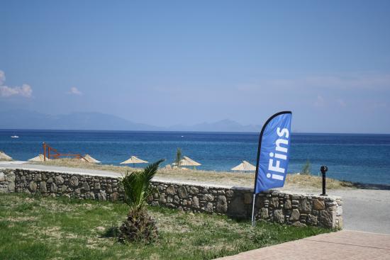 Spin Out Windsurfing & SUP Center