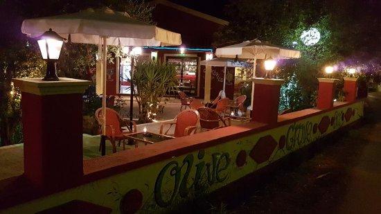 The Olive Grove