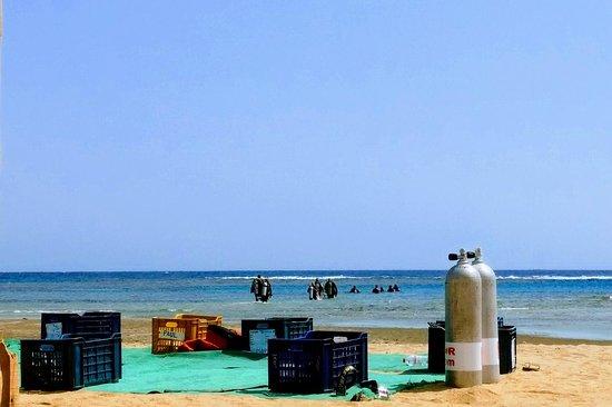 SeaHorse Diving Club
