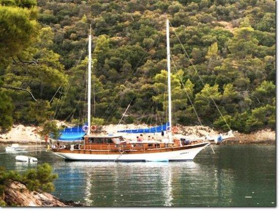 Alinda Blue Cruising