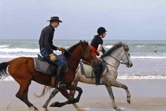 Agadir Horse riding