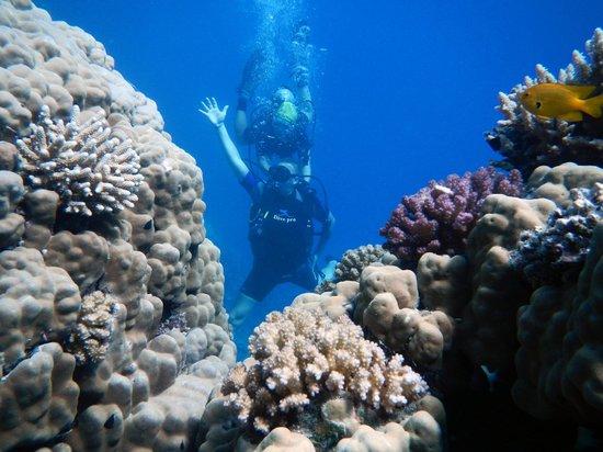 Me Diving