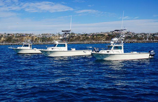Dana Point