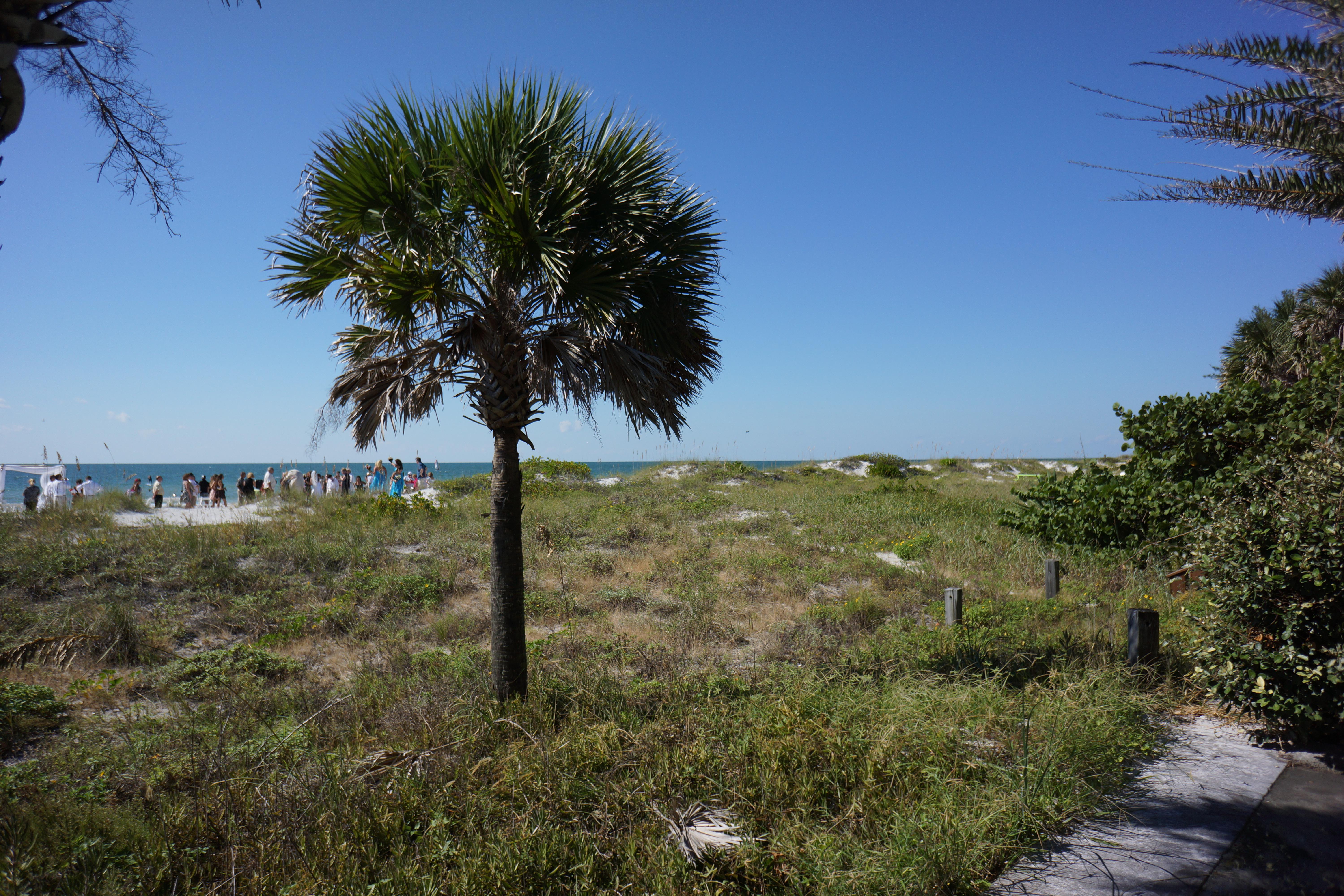 Indian Rocks Beach
