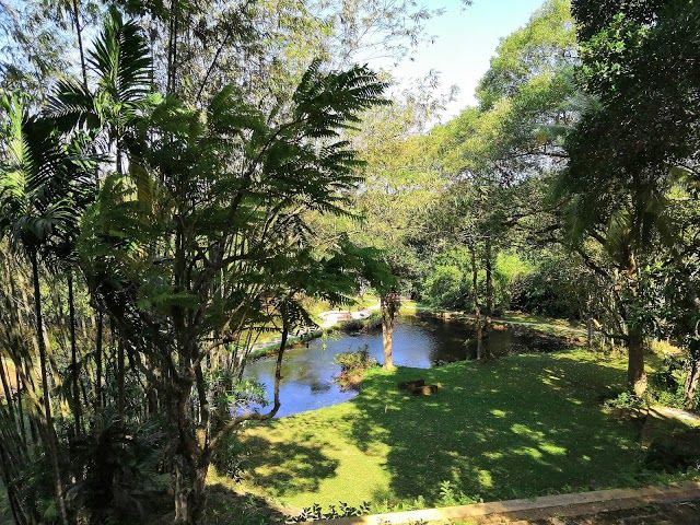 Jardin Lunuganga