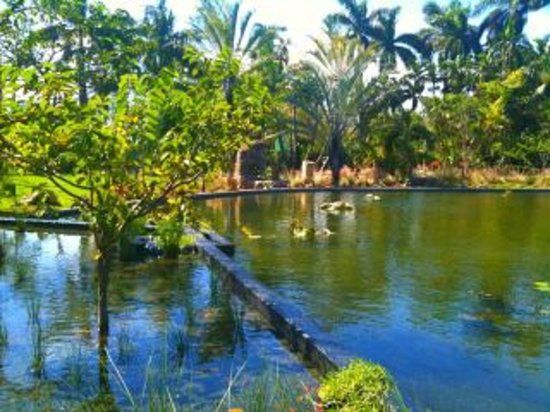 Jardin botanique de Miami Beach