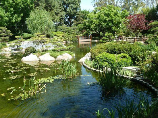 Jardin japonais Earl Burns Miller