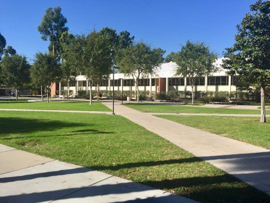 Université d'État de Californie à Long Beach