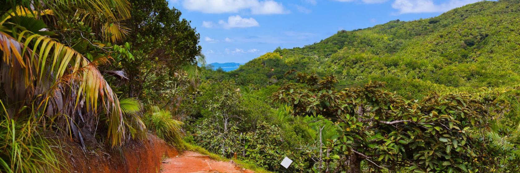 Réserve Naturelle de la Vallée de Mai