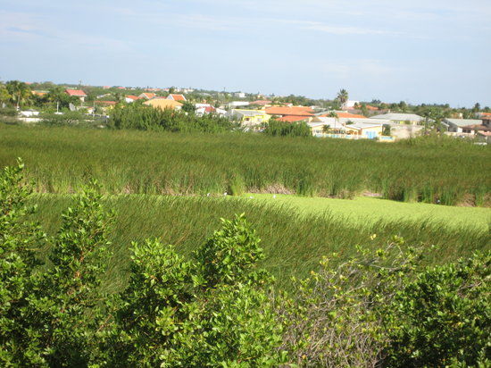 Bubali Bird Sanctuary