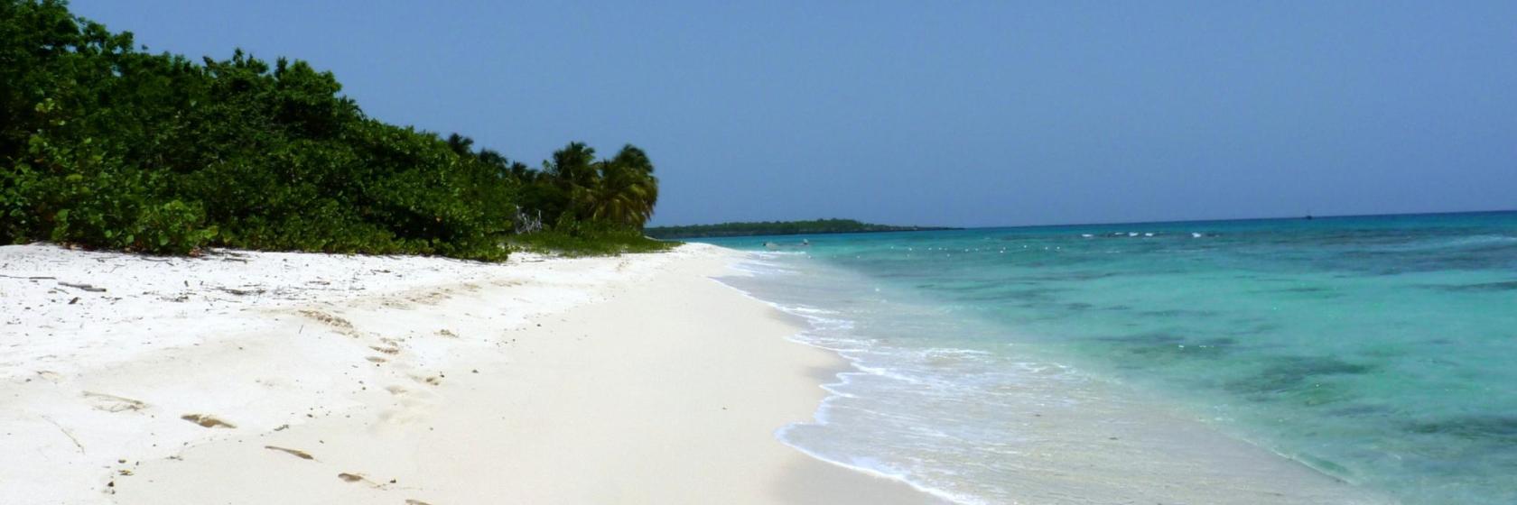 Plage Dominicus
