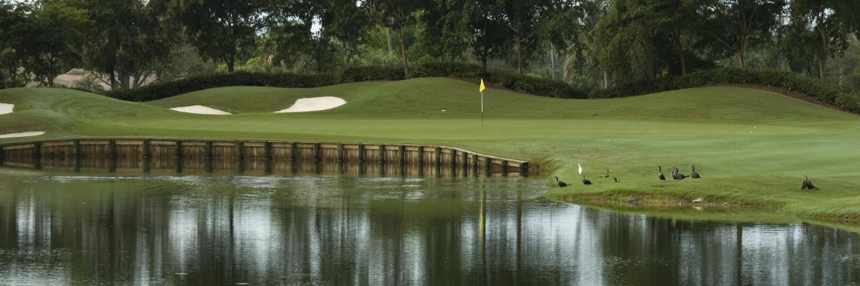 Club de golf Castle Hill Country Club