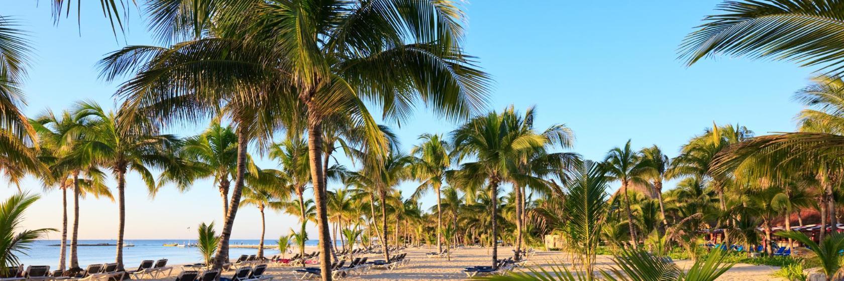 Club de plage Kool