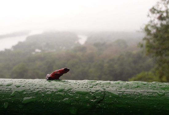 Sendero Cerro Tortuguero