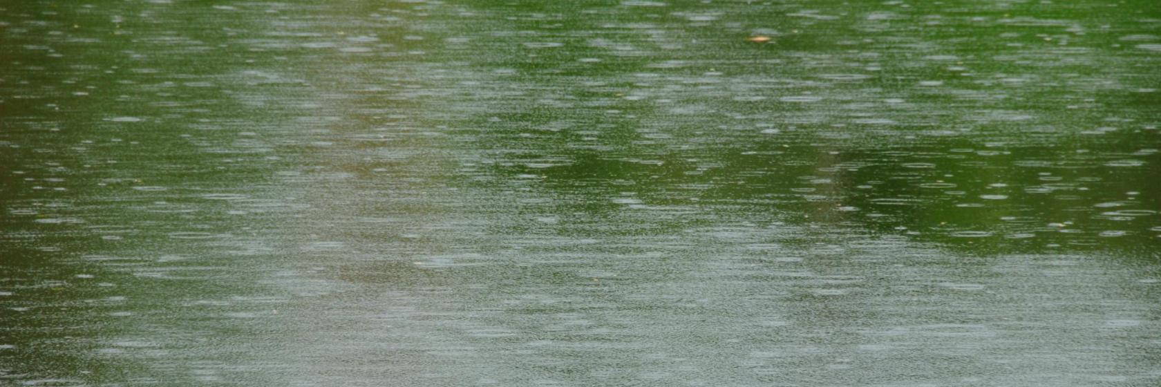 Lac de Bentota